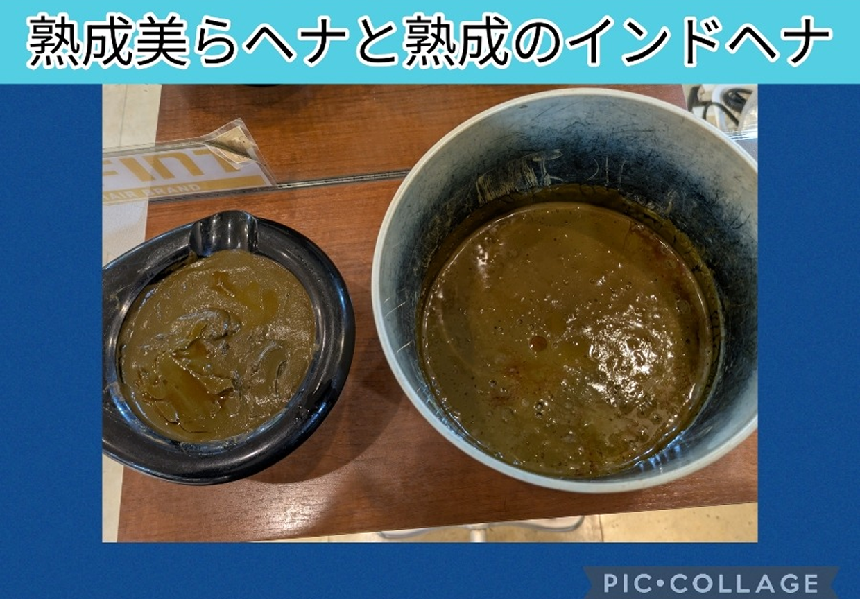 新メニュー